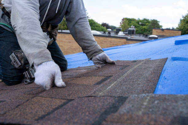 Quick and Trustworthy Emergency Roof Repair Services in Elkins, AR